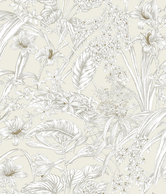 York Wallcoverings Orchid Conservatory Toile Beige and Taupe Beige Wallpaper