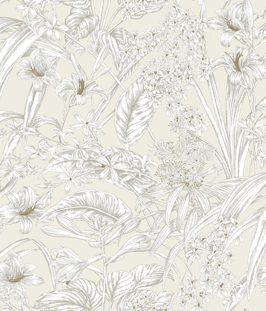 York Wallcoverings Orchid Conservatory Toile Beige and Taupe Beige Wallpaper