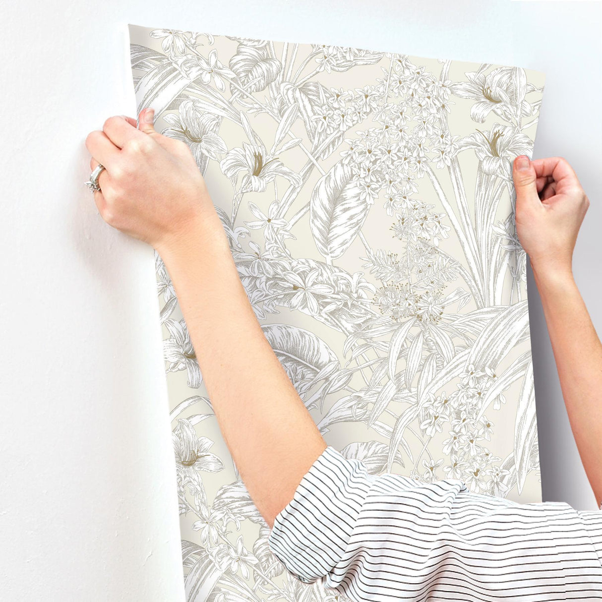 York Wallcoverings Orchid Conservatory Toile Beige And Taupe Beige Wallpaper