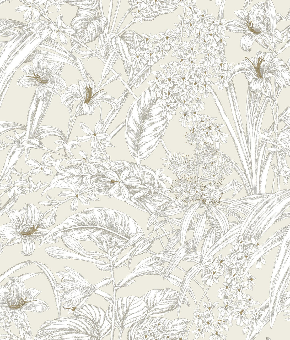 York Wallcoverings Orchid Conservatory Toile Beige And Taupe Beige Wallpaper