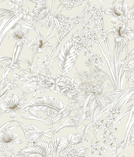 York Wallcoverings Orchid Conservatory Toile Beige And Taupe Beige Wallpaper