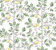 York Wallcoverings Limoncello Toile Green Green Wallpaper