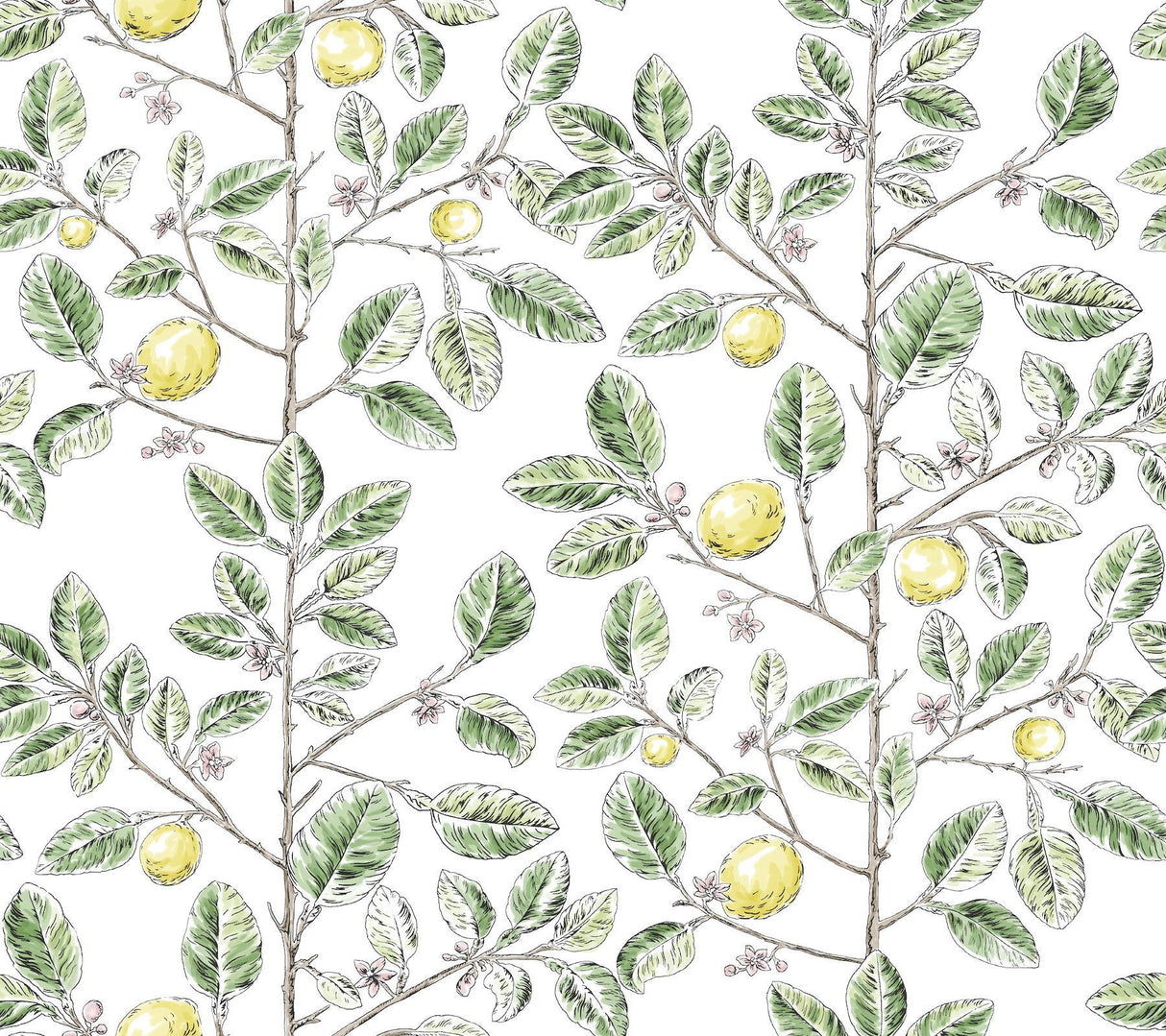 York Wallcoverings Limoncello Toile Green Green Wallpaper