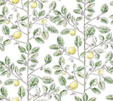 York Wallcoverings Limoncello Toile Green Green Wallpaper