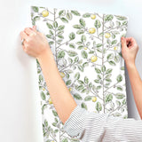 York Wallcoverings Limoncello Toile Green Green Wallpaper