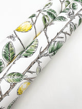 York Wallcoverings Limoncello Toile Green Green Wallpaper