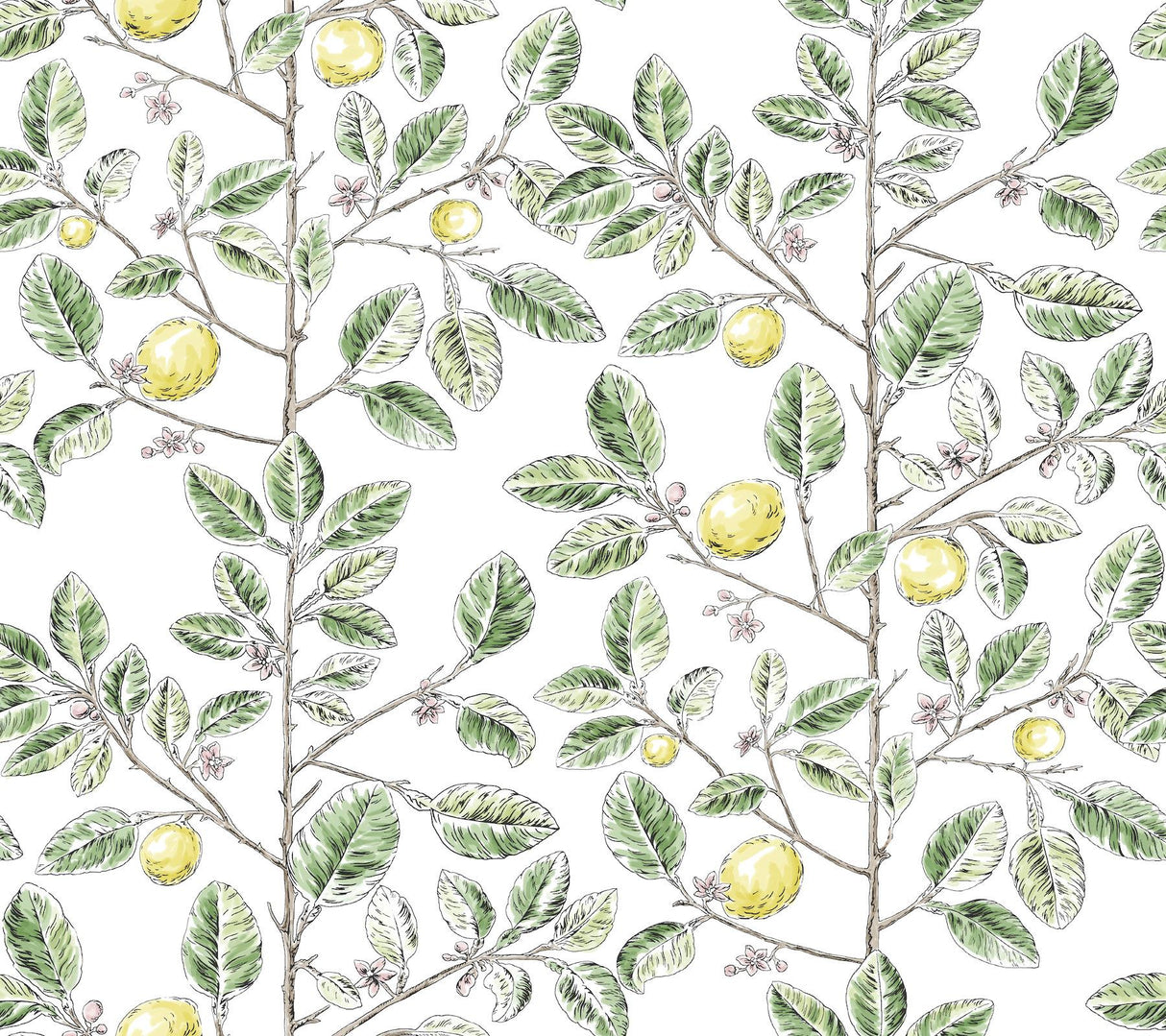 York Wallcoverings Limoncello Toile Green Green Wallpaper