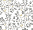 York Wallcoverings Limoncello Toile Black Grey Wallpaper