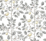York Wallcoverings Limoncello Toile Black Grey Wallpaper