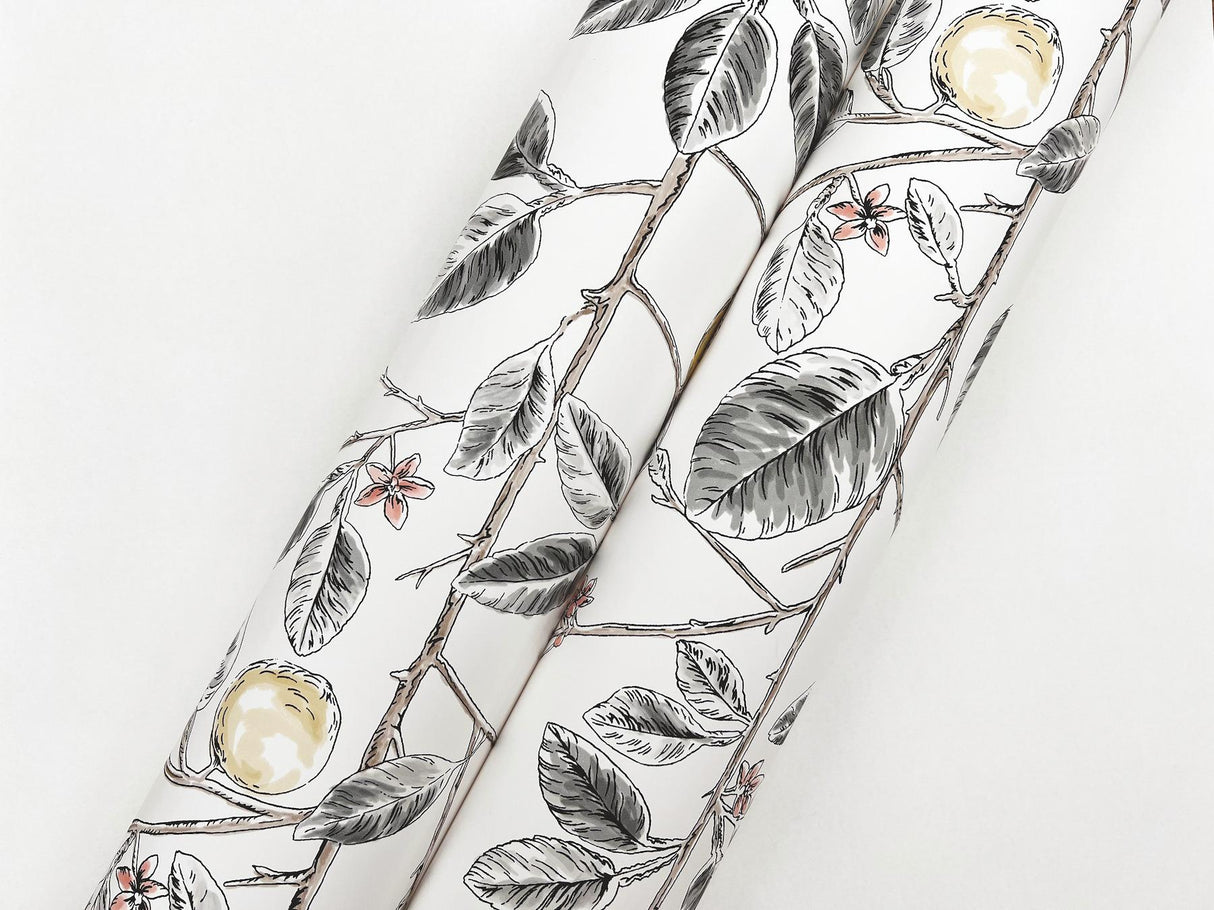 York Wallcoverings Limoncello Toile Black Grey Wallpaper