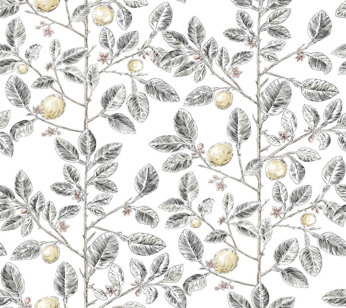 York Wallcoverings Limoncello Toile Black Grey Wallpaper