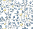 York Wallcoverings Limoncello Toile Blue Blue Wallpaper