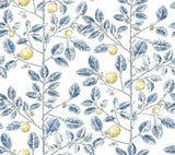 York Wallcoverings Limoncello Toile Blue Blue Wallpaper