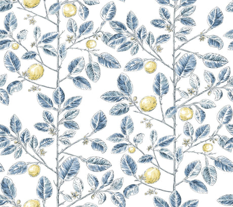 York Wallcoverings Limoncello Toile Blue Blue Wallpaper