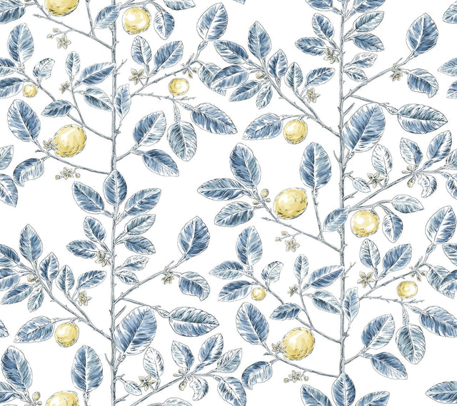 York Wallcoverings Limoncello Toile Blue Blue Wallpaper