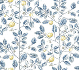 York Wallcoverings Limoncello Toile Blue Blue Wallpaper