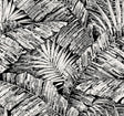 York Wallcoverings Palm Cove Toile White and Black Black Wallpaper