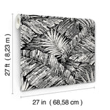 York Wallcoverings Palm Cove Toile White And Black Black Wallpaper