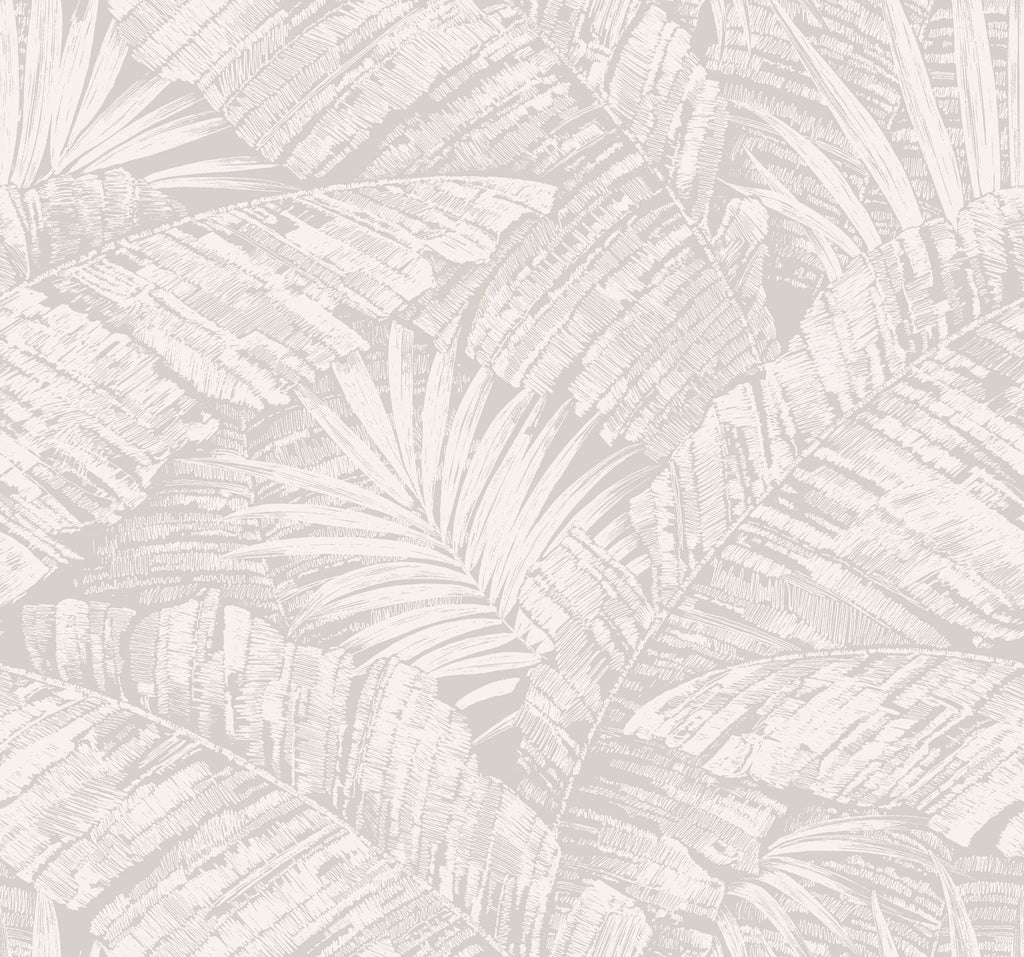 York Wallcoverings Palm Cove Toile White and Grey Grey Wallpaper