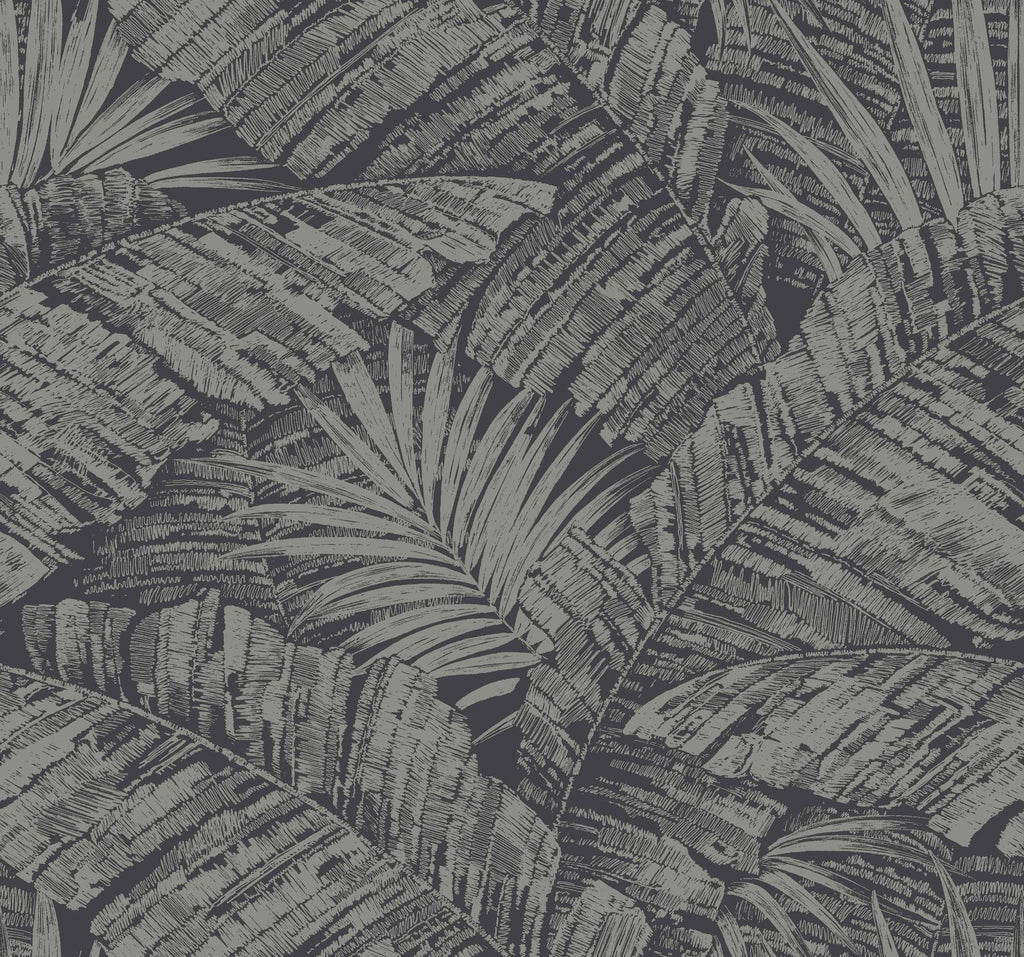 York Wallcoverings Palm Cove Toile Silver And Black Black Wallpaper
