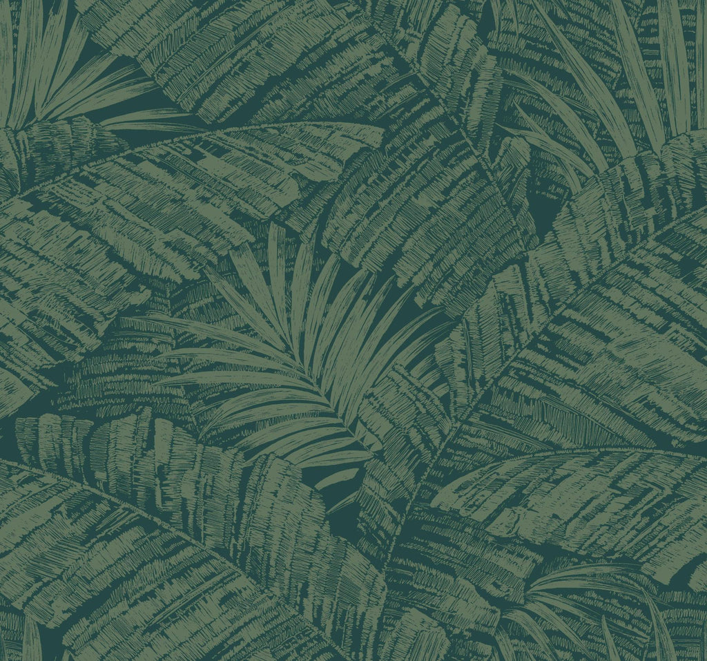 York Wallcoverings Palm Cove Toile Emerald Forest Green Wallpaper