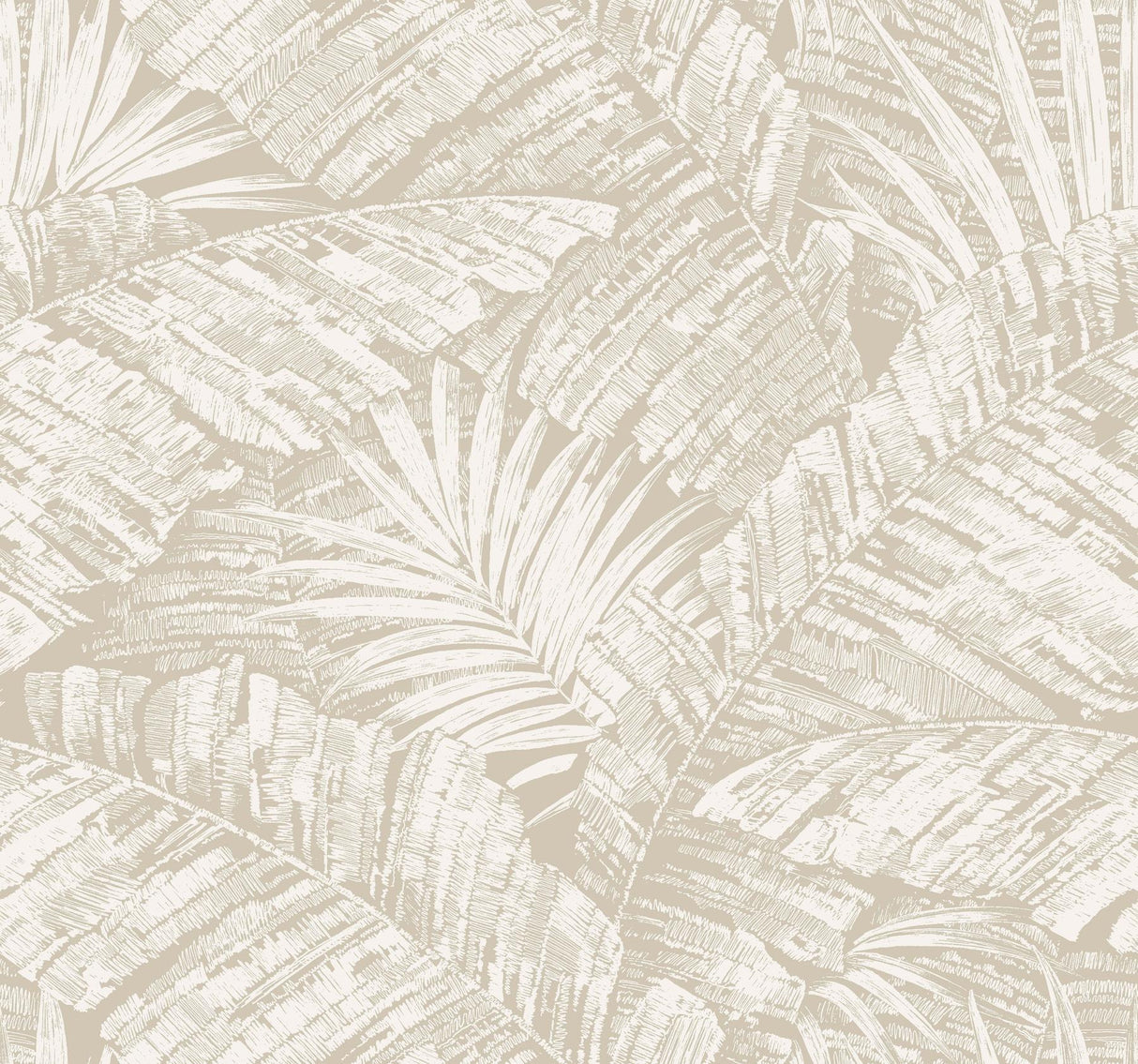 York Wallcoverings Palm Cove Toile White and Taupe Beige Wallpaper
