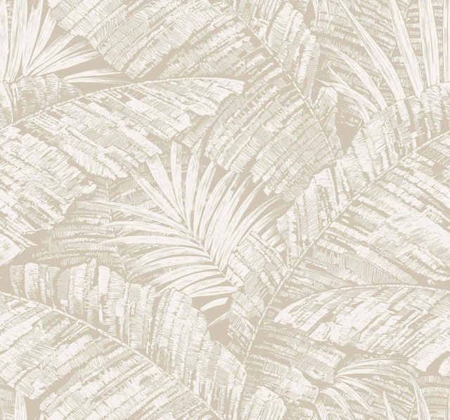 York Wallcoverings Palm Cove Toile White and Taupe Beige Wallpaper