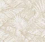 York Wallcoverings Palm Cove Toile White And Taupe Beige Wallpaper