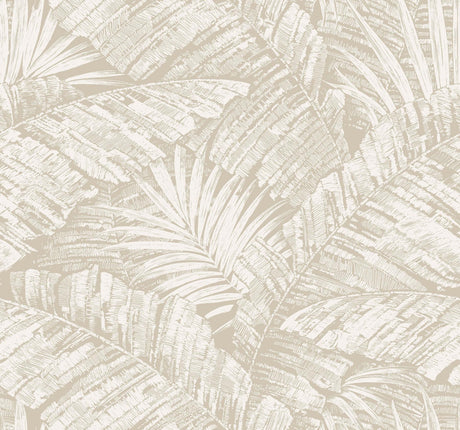 York Wallcoverings Palm Cove Toile White And Taupe Beige Wallpaper