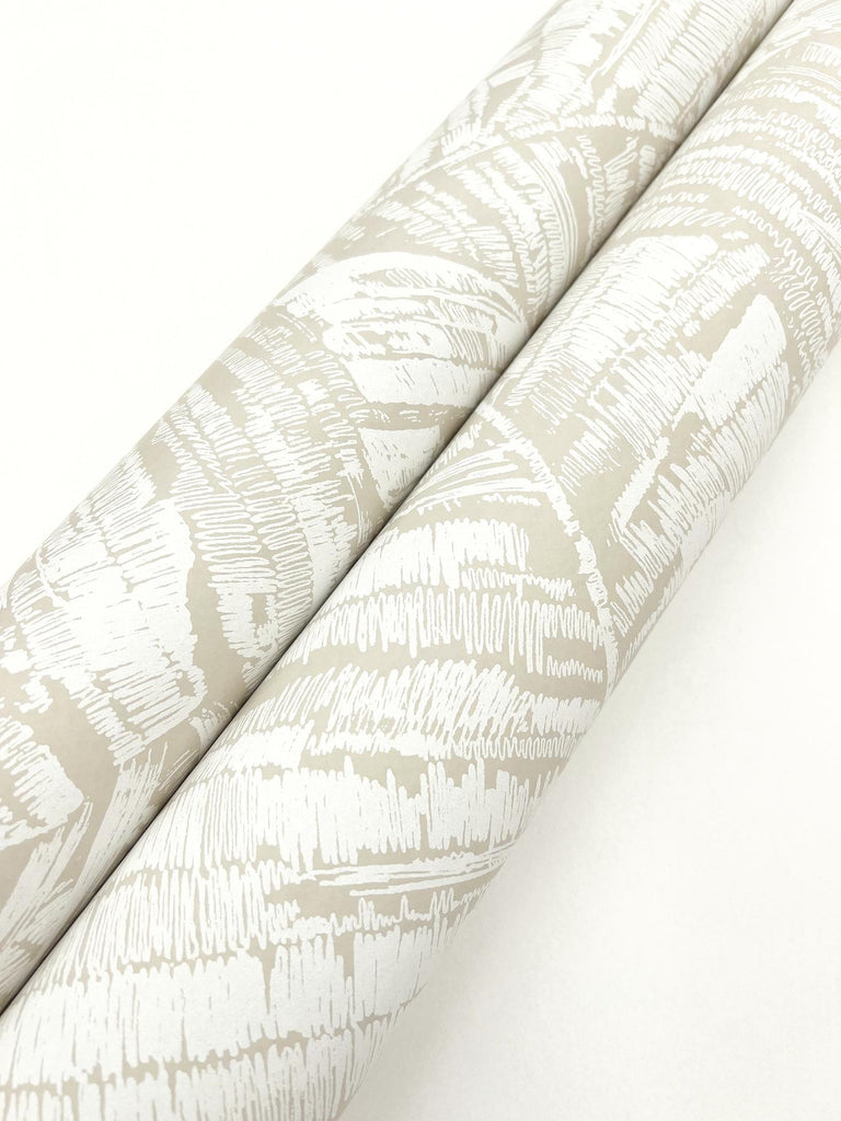 York Wallcoverings Palm Cove Toile White And Taupe Beige Wallpaper