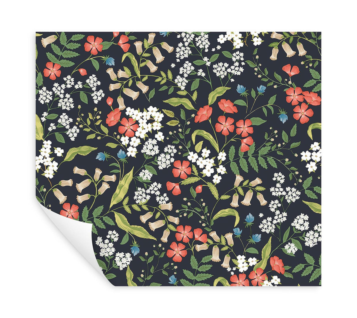Rifle Paper Co. Sweetbrier Black Peel And Stick Black Wallpaper