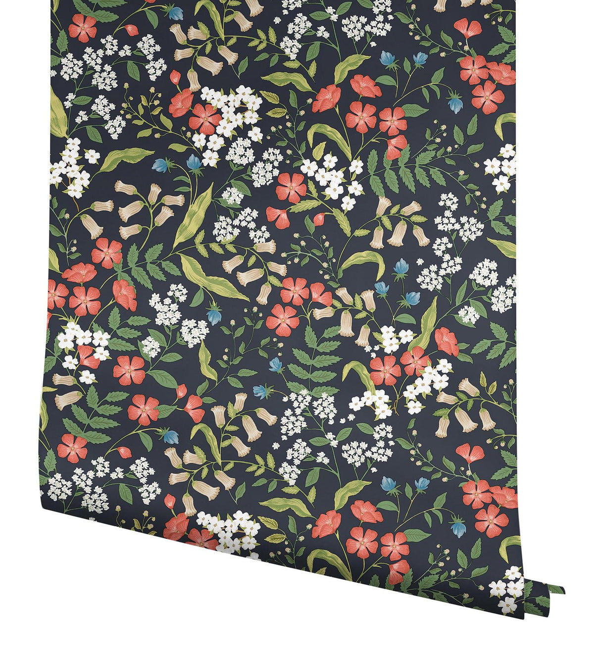 Rifle Paper Co. Sweetbrier Black Peel And Stick Black Wallpaper