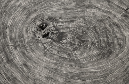 Phillips Collection Floating  on Acrylic Legs Gray Stone Size Varies Coffee Table