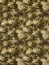 Scalamandre Ridge Edge Moss Fabric