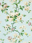 Scalamandre Botanical Garden Celadon Fabric