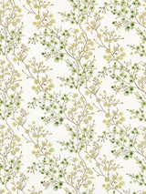Scalamandre Lilette Sheer Fern Fabric