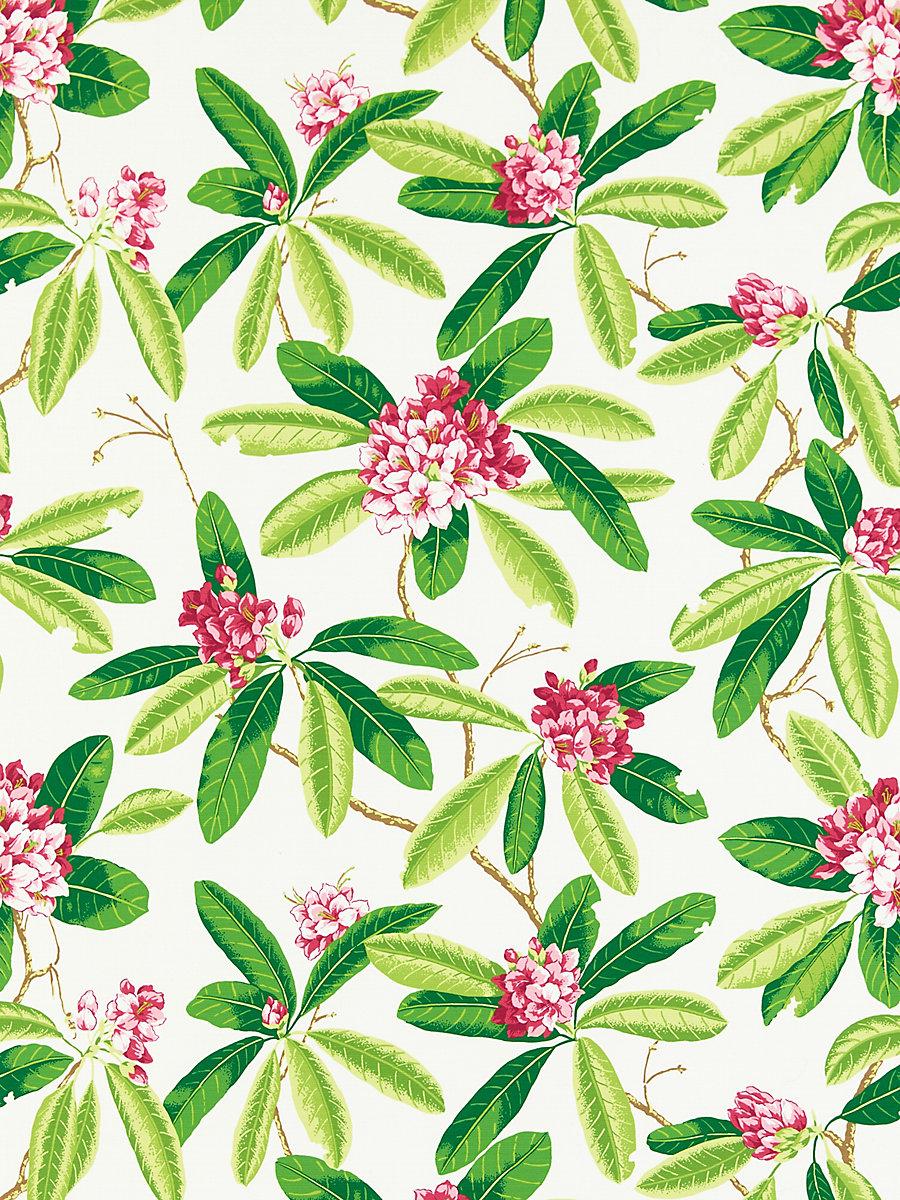 Scalamandre Rhododendron | Outdoor Fuschia Fabric