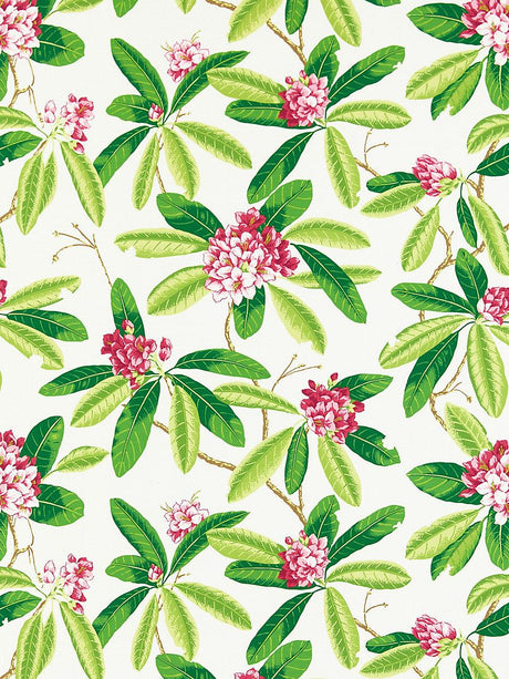 Scalamandre Rhododendron | Outdoor Fuschia Fabric