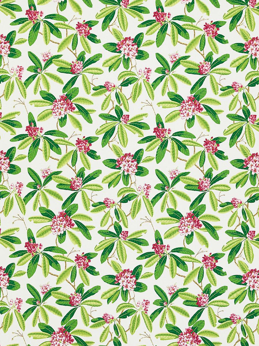 Scalamandre Rhododendron | Outdoor Fuschia Fabric