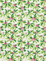 Scalamandre Rhododendron | Outdoor Fuschia Fabric