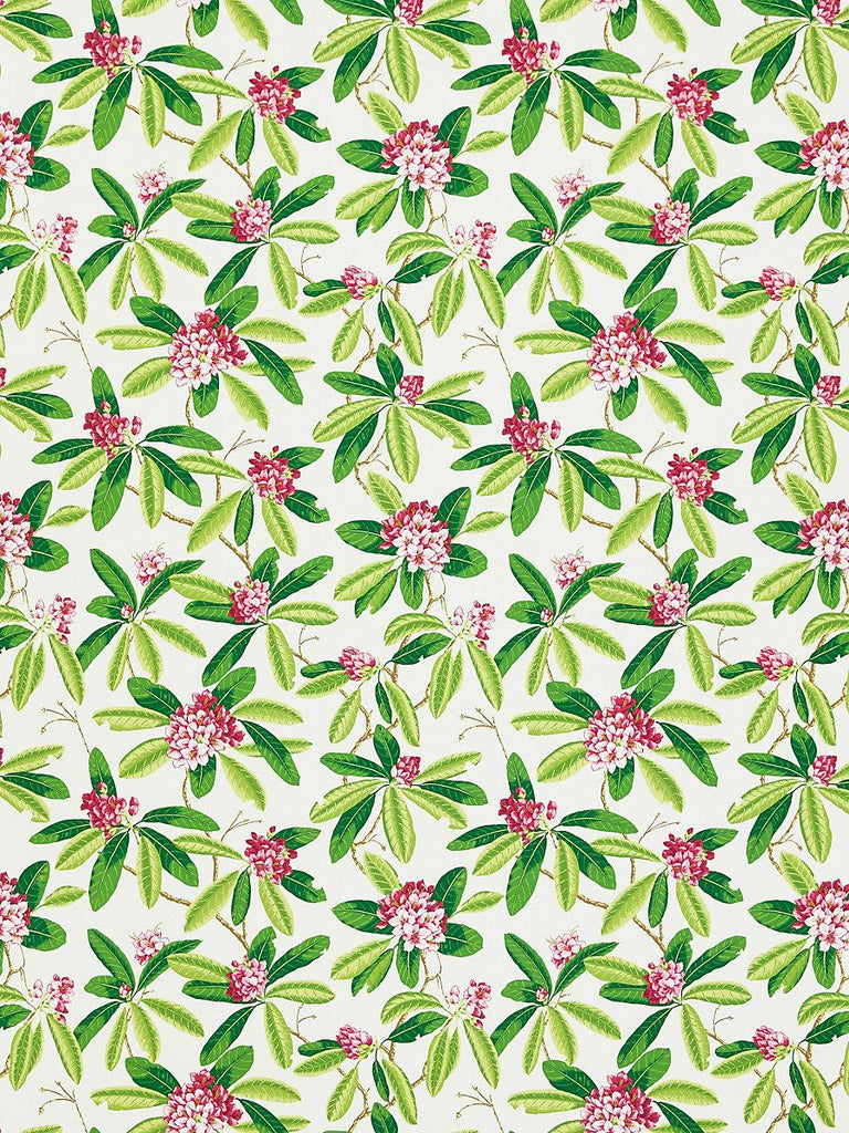 Scalamandre Rhododendron - Outdoor Fuschia Fabric