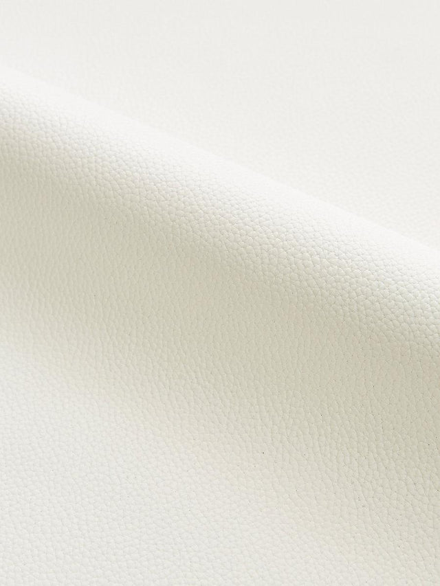 Scalamandre Lucille | Outdoor Cotton Fabric