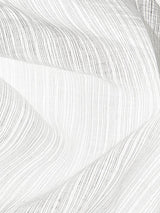 Scalamandre Celestial Sheer Off White Fabric