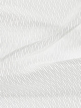 Scalamandre Airwave Sheer Off White Fabric