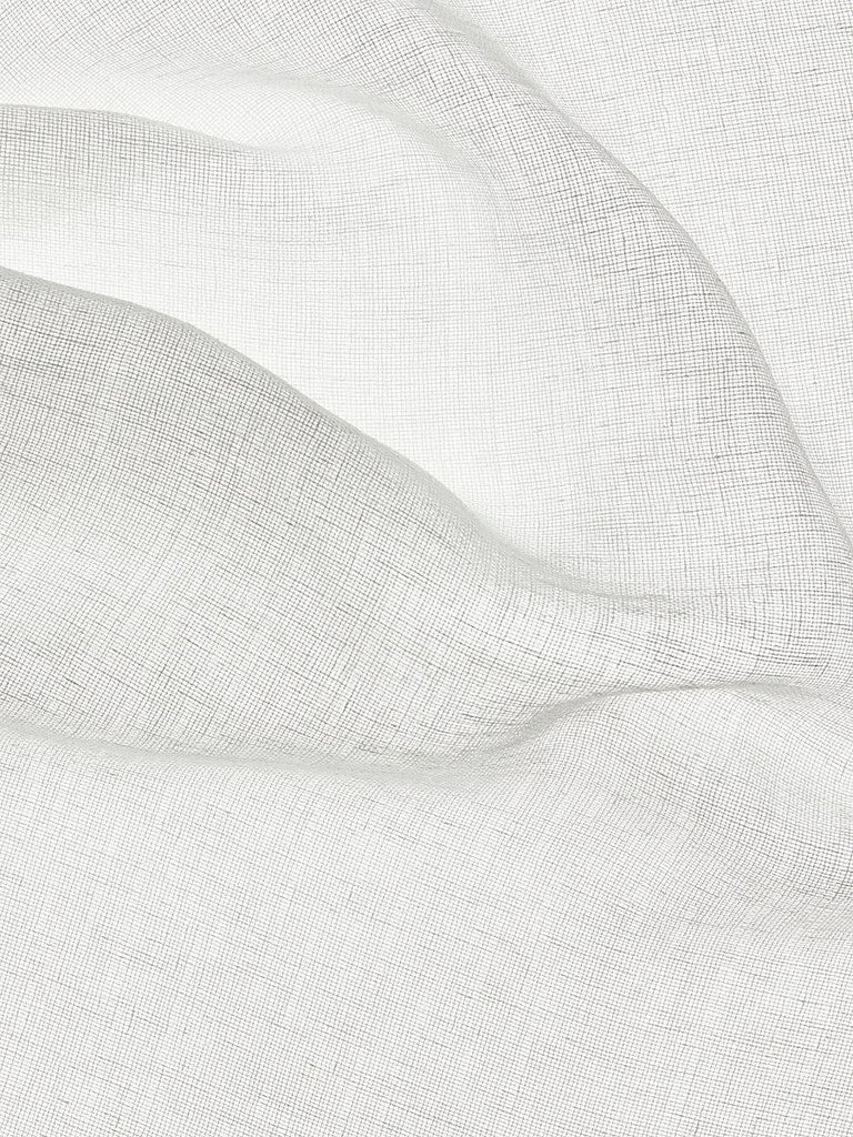 Scalamandre MOONDUST SHEER OFF WHITE Fabric