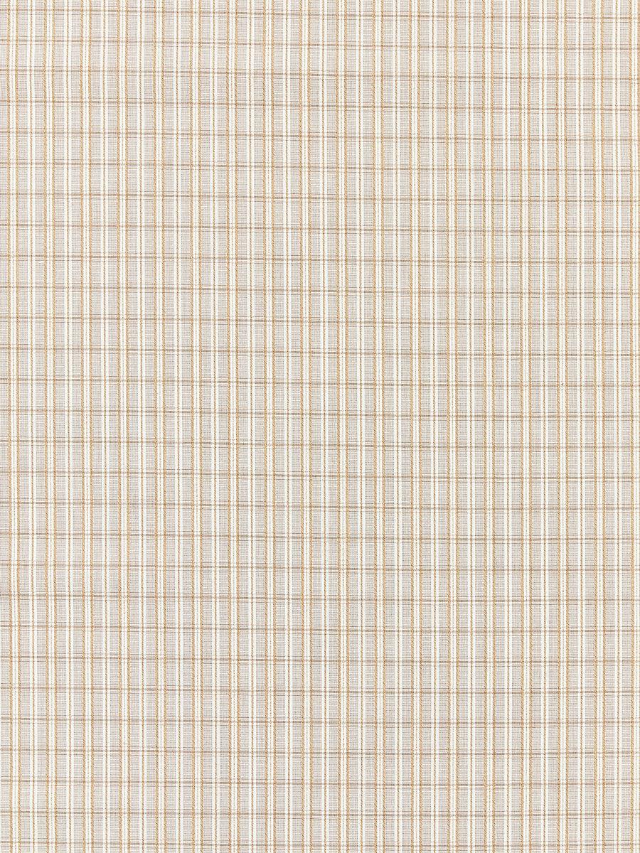 Scalamandre Check Please | Outdoor Birch Fabric