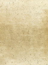 Scalamandre Pyrite Brushed Gold Wallpaper