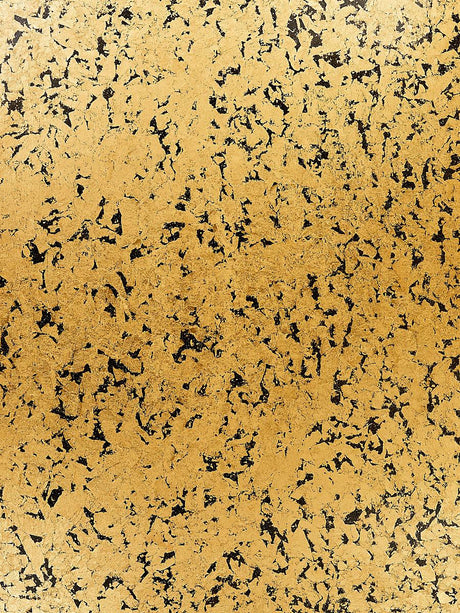 Scalamandre Obsidian Black Wallpaper