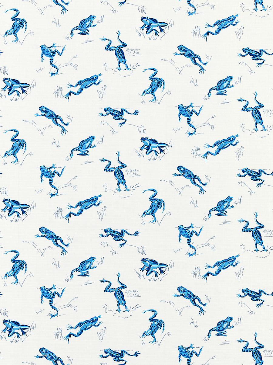 Scalamandre Calabasas County | Outdoor Creek Fabric