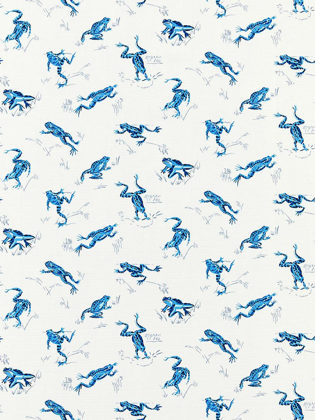 Scalamandre Calabasas County | Outdoor Creek Fabric